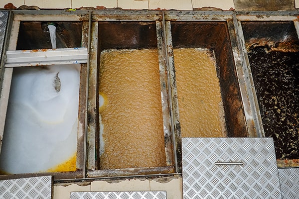 regularly disposing of food waste and using a natural enzyme treatment can help reduce the frequency of grease trap maintenance